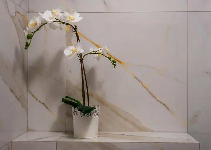 Magia Tatr 자코파네